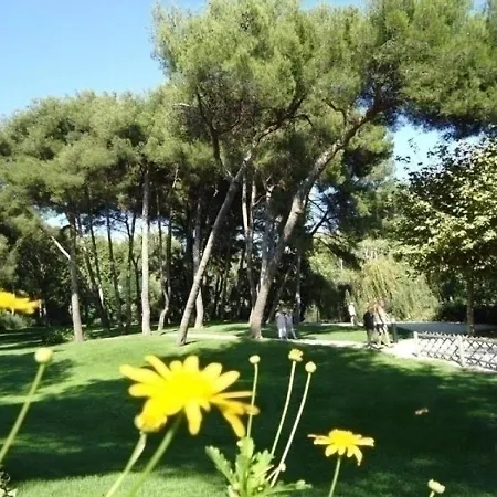 Jardin Azur